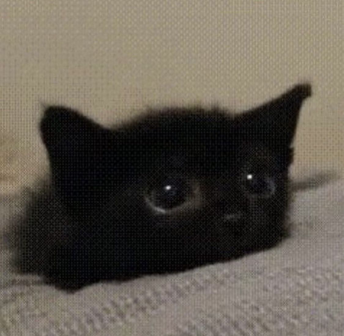 Meeeeee